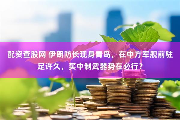 配资查股网 伊朗防长现身青岛，在中方军舰前驻足许久，买中制武器势在必行？
