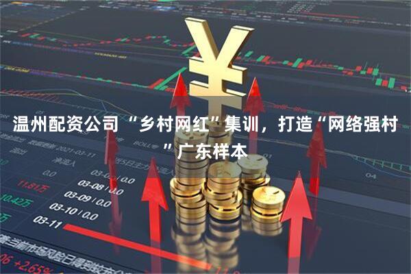 温州配资公司 “乡村网红”集训，打造“网络强村”广东样本